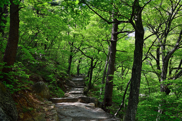 Fototapeta premium North Korea. Diamond mountains. Mt.Kumgang