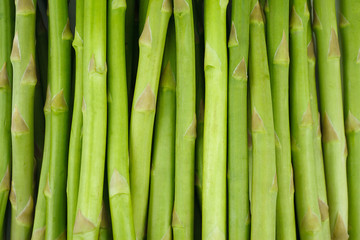 Fresh green asparagus on white background. Food ingredients. Health food