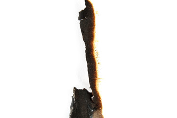 isolated scorched paper