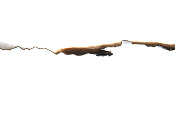 isolated scorched paper