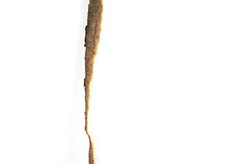 paper burned on white