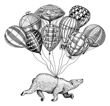 Polar Bear flies on Air Balloons. Vintage retro airship with decorative elements. Wild Animal soars in the sky. Template for travel logo. Hand drawn Engraved sketch.