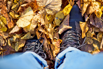 Autumn image of legs in black boots on the colorful leaves. Golden season. Concept.