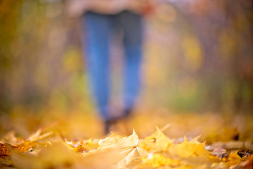 Blurred girl in jeans and boots walks in the autumn forest. Unfocused women's legs in the Indian summer season