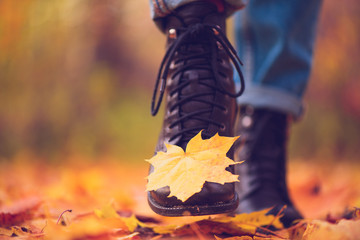 Yellow leaf stuck to the women's shoe during a walk through the autumn forest. Indian summer season