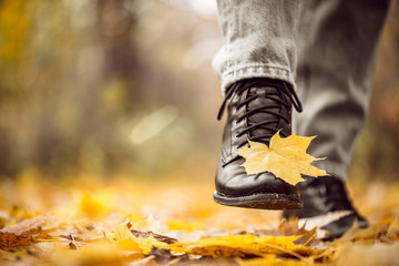 Yellow leaf stuck to the women's shoe during a walk through the autumn forest. Indian summer season