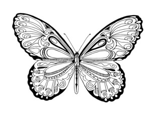 Butterfly graphics, suitable for illustrations, and for further work with her.