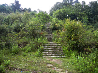 Beautiful Scenery of forest with rocky trail pavement