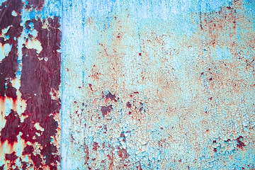 Rose flowers on the nature background