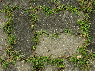abandoned concrete block floor with grass texture