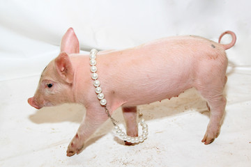 Piglet With Pearls