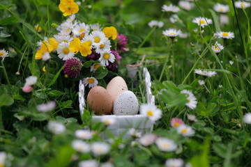 Ostereier mit weißem Osterkorb und Blumen in Garten