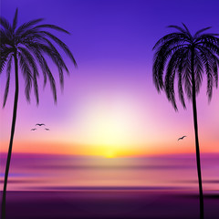 Sunset and tropical palm trees with colorful landscape background, vector