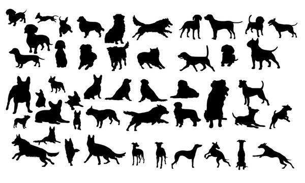 Hunde Icons