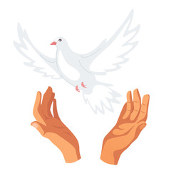 Hands releasing white dove flat vector illustration