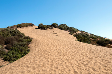 Beautiful sand dunes in Concon Dune field, Chile, South America