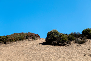Fototapeta na wymiar Beautiful sand dunes in Concon Dune field, Chile, South America