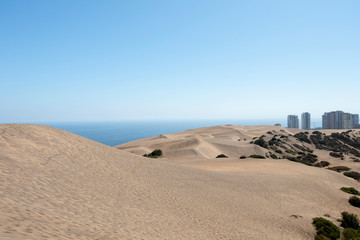 View across the desert landscape of Concon Dunes, a large area of sand dunes near Vina del Mar, Chile, South America