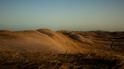 sunrise in the dunes