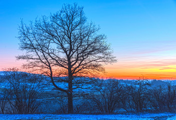 Fototapeta na wymiar Winter wonderland in germany at sunset