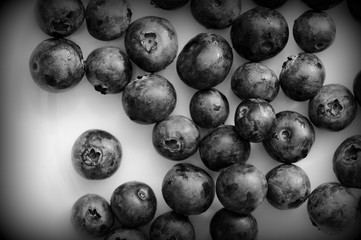 Fresh blueberry on a white plate close up. Top view black and white