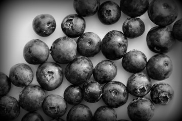 Fresh blueberry on a white plate close up. Top view black and white