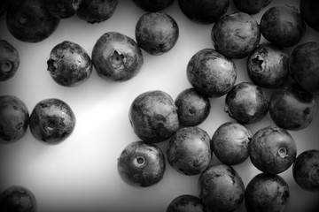 Fresh blueberry on a white plate close up. Top view black and white