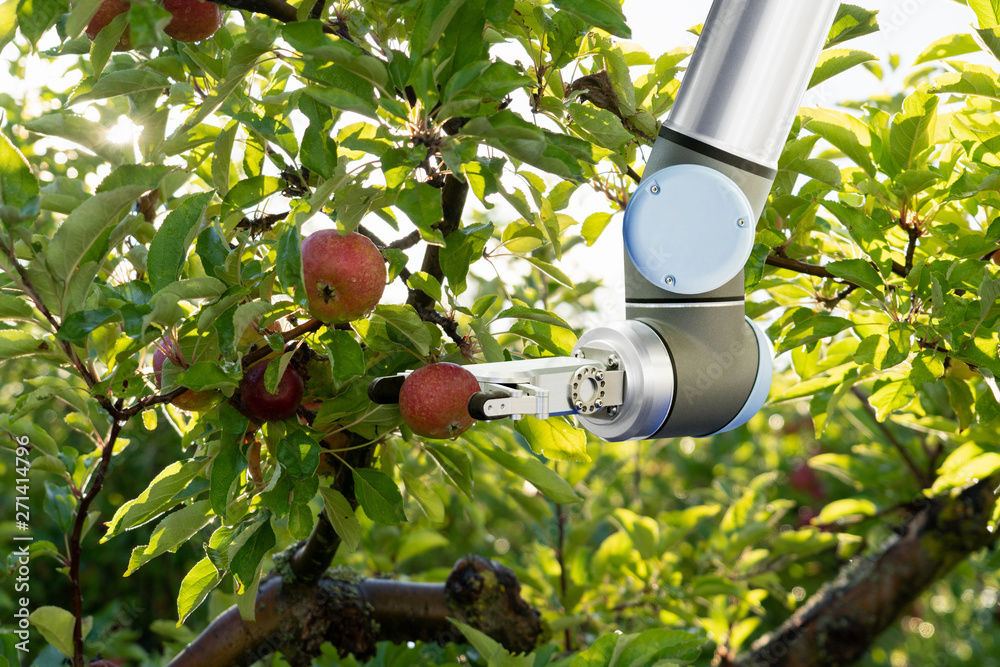Poster The robot arm is working in the smart farm. Digital transformation of farming.