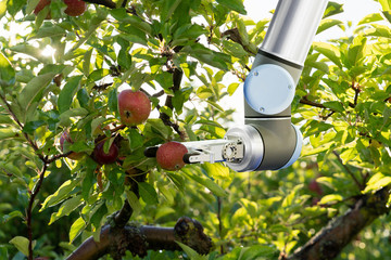 The robot arm is working in the smart farm. Digital transformation of farming.