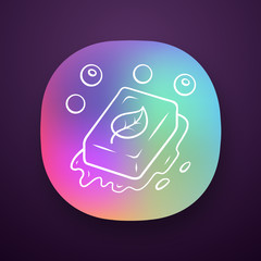 Eco soap app icon
