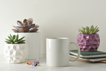 Work table with succulent plants and coffee cup. Styled bright workspace.