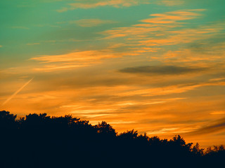 Landscape with sunset and silhouettes of trees. Beautiful view of bright colorful sky happened on evening decline in the summer evening.