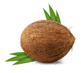 coconut with leaf isolated on white background clipping path