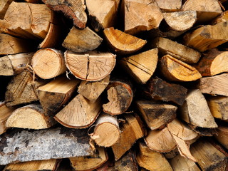 woodpile
