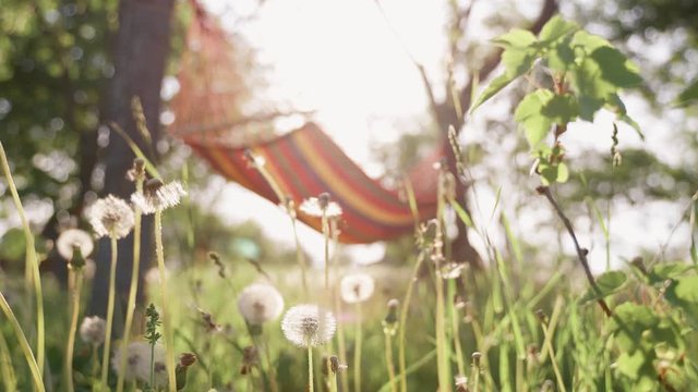 Colorful hammock stretched between trees in a garden. Multi-colored striped hammock hanging in the garden between the trees.