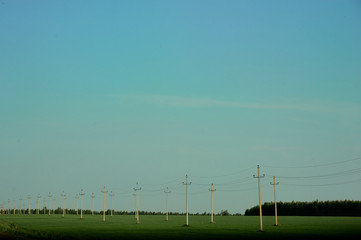 Wiring lines stretching into the distance stand on a green field. Electric power cables.