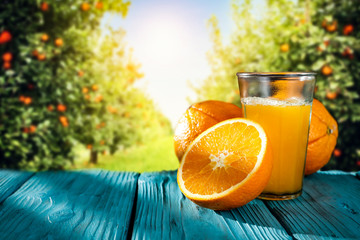 Fresh orange juice and summer garden 