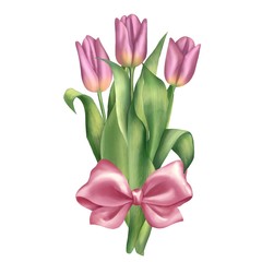 Bouquet of pink tulips. Isolated on white background