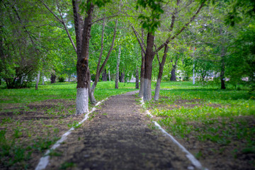 Plakat path in the park