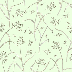 Seamless pattern of meadow herbs. Vector