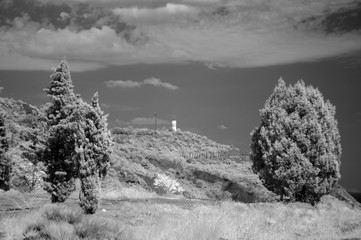 Lighthouse behind several cypress trees