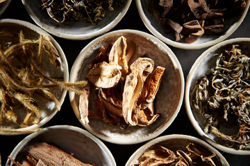 Chinese herbal medicine 