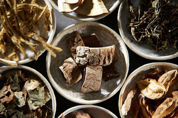 Chinese herbal medicine 
