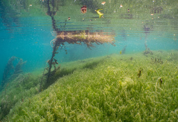 Rhein Underwater