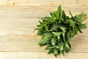 Mint. Leaves and branches of fresh green wild mint on a wooden natural table.