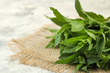 Mint. Leaves and branches of fresh green wild mint on a light concrete table.