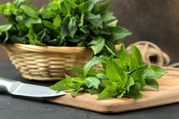 Mint. Leaves and branches of fresh green wild mint on a cutting board on a black concrete table.
