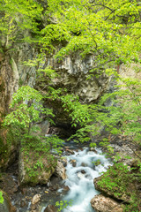 Obraz premium 白骨温泉の絶景スポット 「隧（つい）通し」自然の新色でできた岩のトンネル