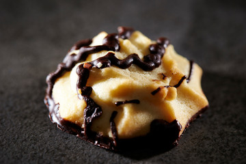 Cookie with chocolate and nuts