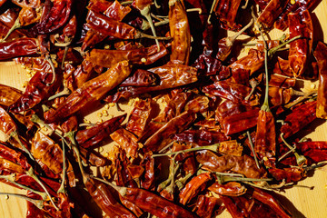 Whole dried chilli peppers with seeds lying in sunlight beam
